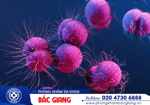Bệnh lậu ở nam có gây nguy hiểm không?