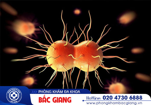 Bệnh lậu tiểu ra máu nguy hiểm ra sao