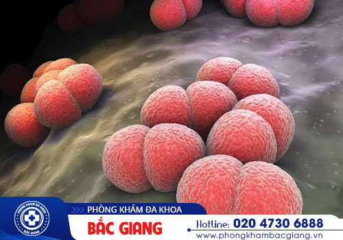 Bệnh lậu và những biến chứng nguy hiểm?