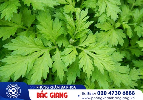 Có nên tự chữa giang mai tại nhà không?