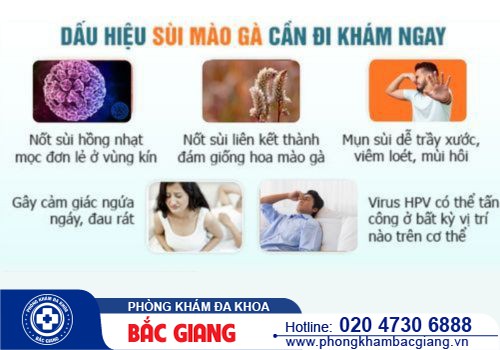 Bệnh sùi mào gà có đau không? Triệu chứng khi mắc sùi mào gà là gì?