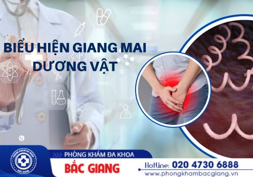 Biểu hiện và tác hại nguy hiểm của giang mai dương vật