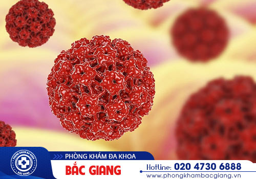 Hình ảnh nhận biết sùi mào gà qua từng giai đoạn?