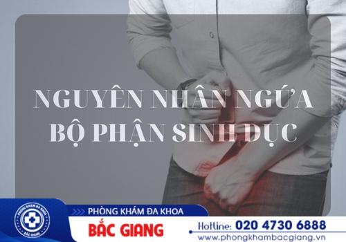 Điểm danh những nguyên nhân gây ngứa bộ phận sinh dục