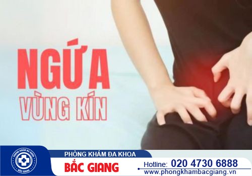 Vùng kín bị ngứa và nổi mẩn đỏ do đâu? Phương pháp điều trị bệnh hiệu quả
