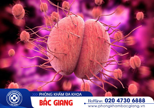 Nguyên nhân gây ra bệnh lậu ở cơ thể là gì?