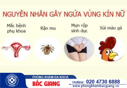 Những nguyên nhân khiến chị em bị ngứa vùng kín và cách khắc phục
