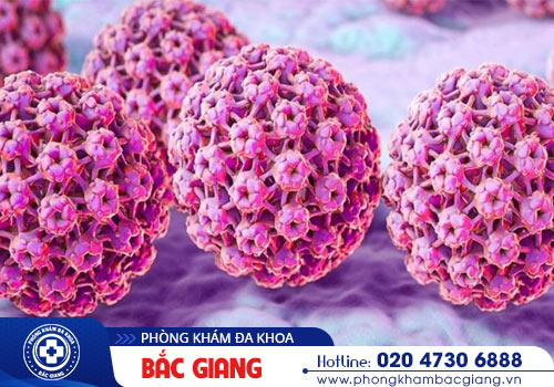 Nguyên nhân và triệu chứng bệnh HPV bạn cần biết