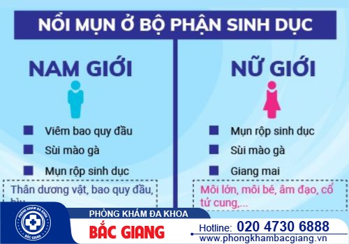 Nổi mụn ở bộ phận sinh dục là dấu hiệu bệnh gì? Điều trị cách nào hiệu quả?