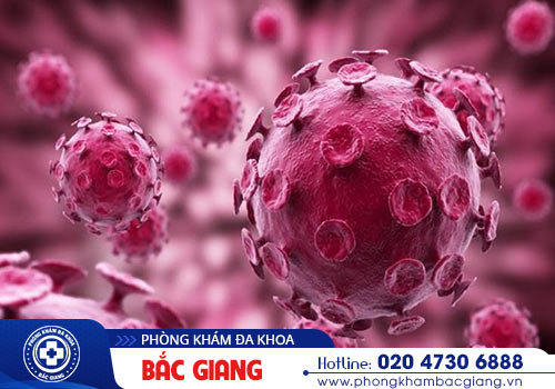 Phòng khám chữa bệnh hpv nào uy tín ở Bắc Giang?