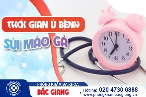 Thời gian ủ bệnh sùi mào gà bao lâu? Địa điểm nào điều trị uy tín?