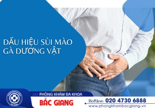 Dấu hiệu sùi mào gà dương vật