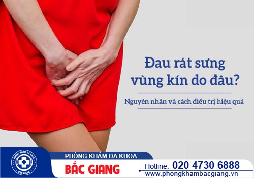 Sưng vùng kín cảnh báo bệnh gì? Điều trị cách nào hiệu quả?
