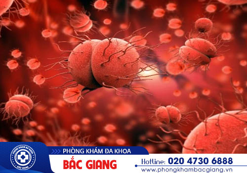 Thời gian ủ bệnh lậu và các giai đoạn phát triển ở cơ thể