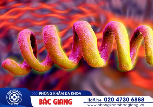 Tìm hiểu nguyên nhân gây bệnh giang mai