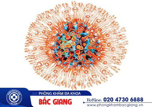 Triệu chứng của bệnh Herpes sinh dục không nên bỏ qua?